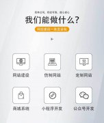 UI设计 索易客 软件开发定制 高端定制专业技术支持服务